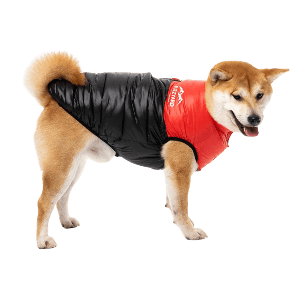 fuzzyard-east-harlem-puffer-jacket-red