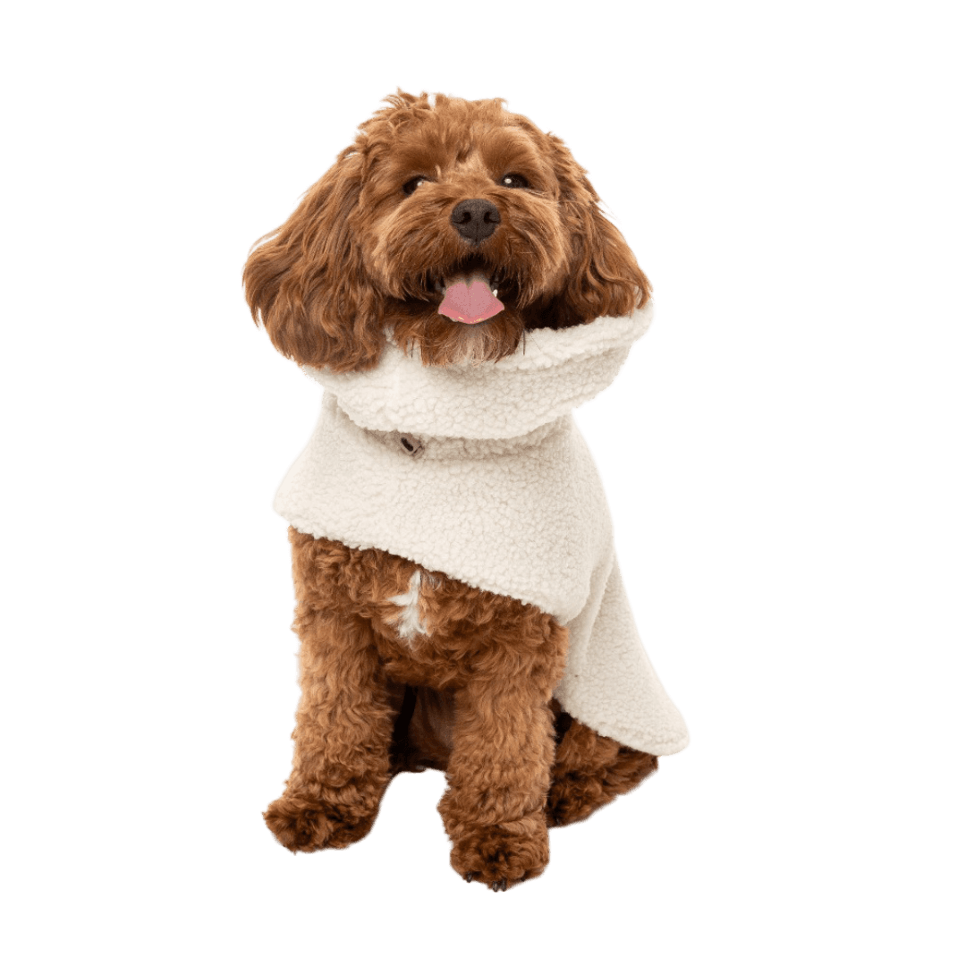 fuzzyard-eggshell-cosy-snood-dog-coat