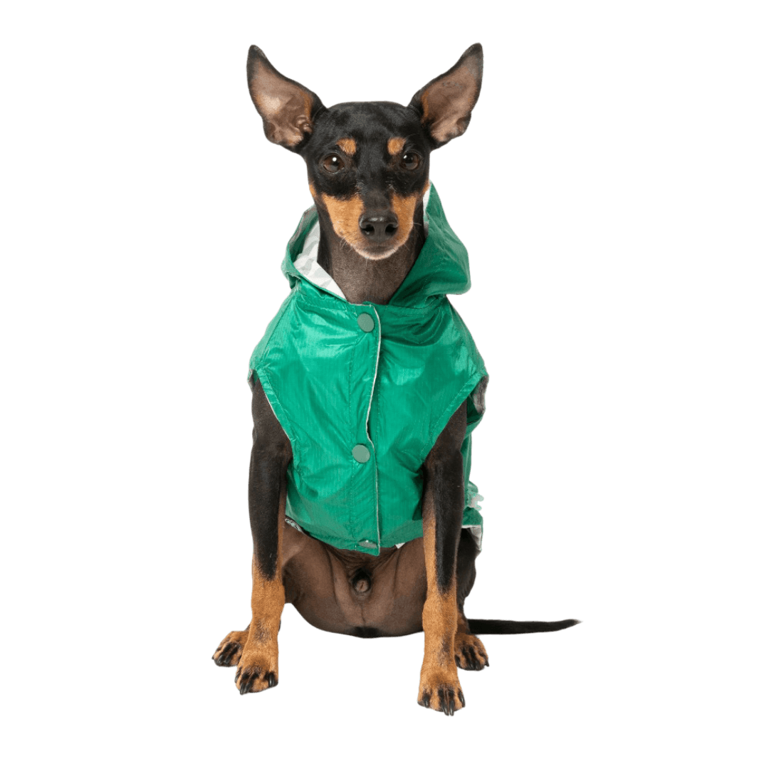 Flipside Dog Raincoat Green Beige