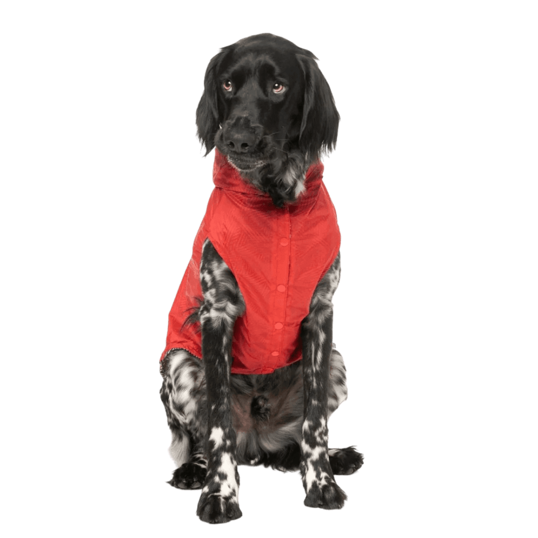 Flipside Dog Raincoat Red Black White