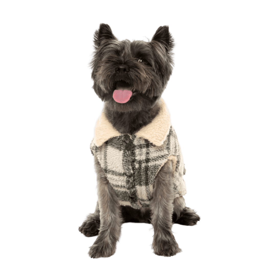 fuzzyard-green-and-cream-lumberjack-dog-jacket
