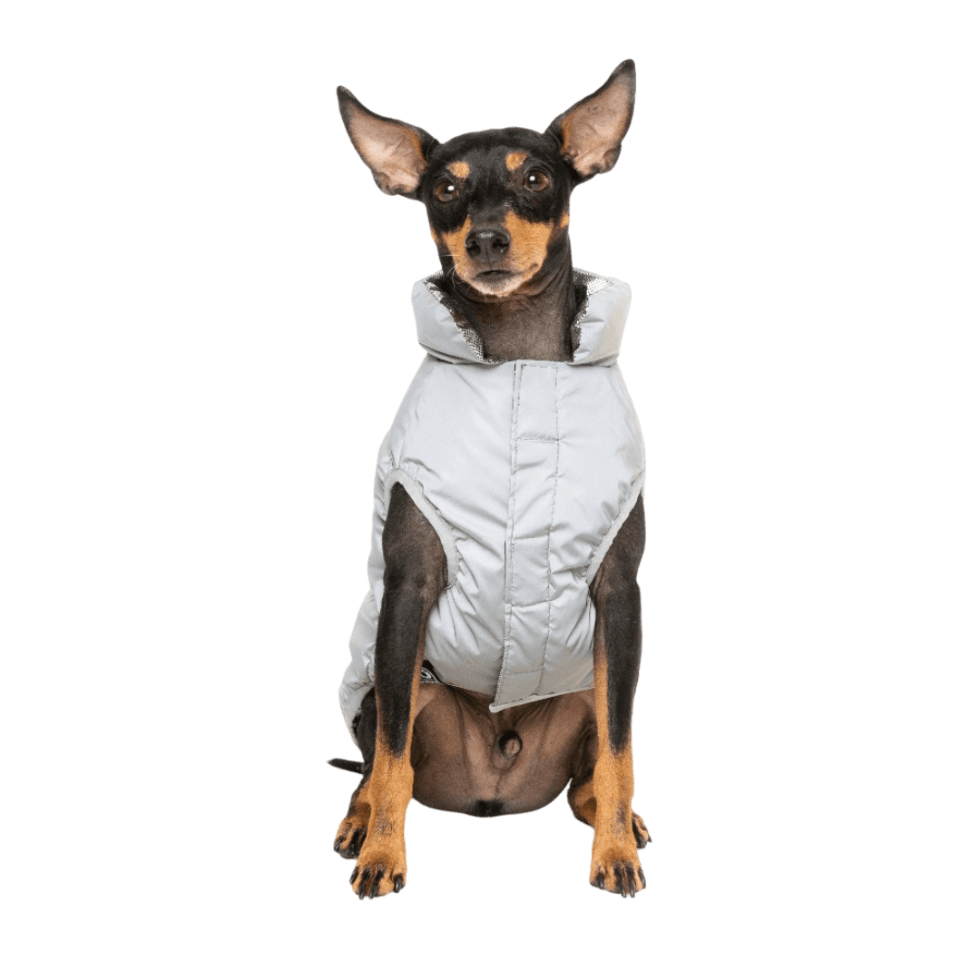 fuzzyard-hakuba-jacket-reflective