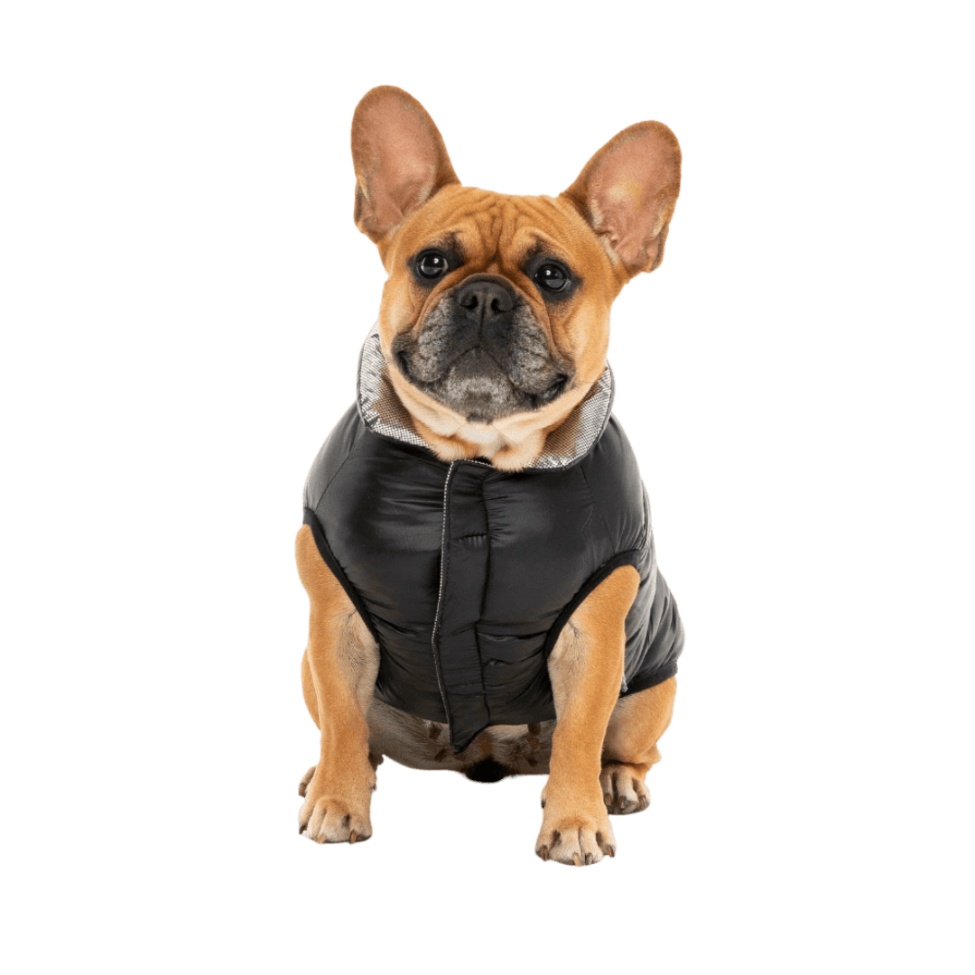 fuzzyard-hakuba-jacket-black