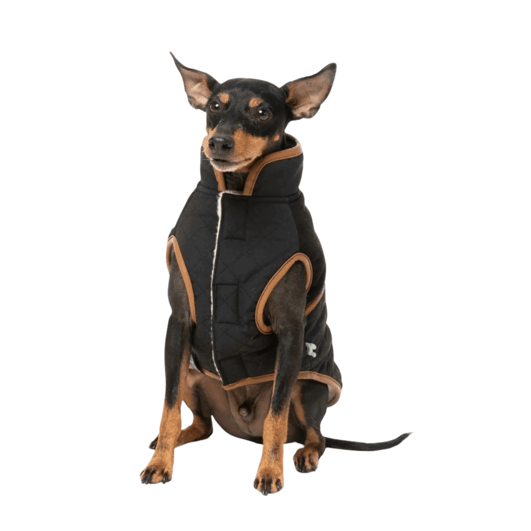 fuzzyard-ivanhoe-jacket-black