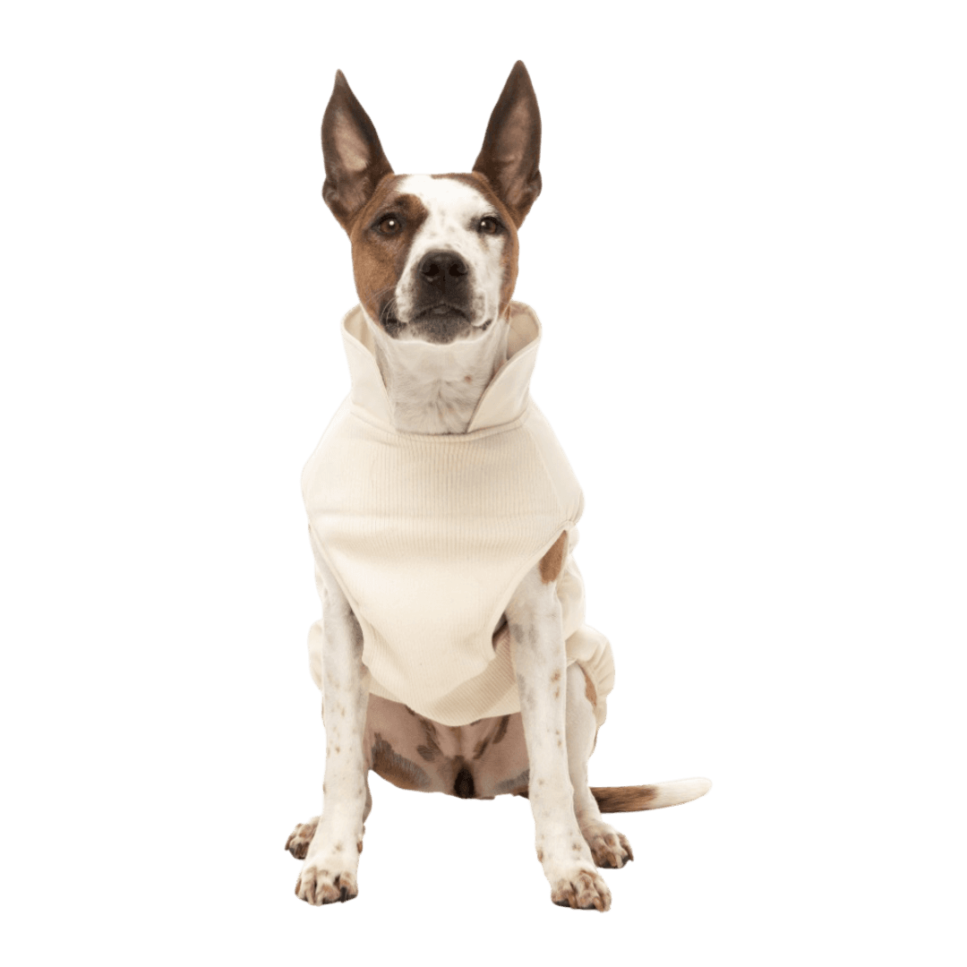 fuzzyard-off-white-vienna-dog-jacket