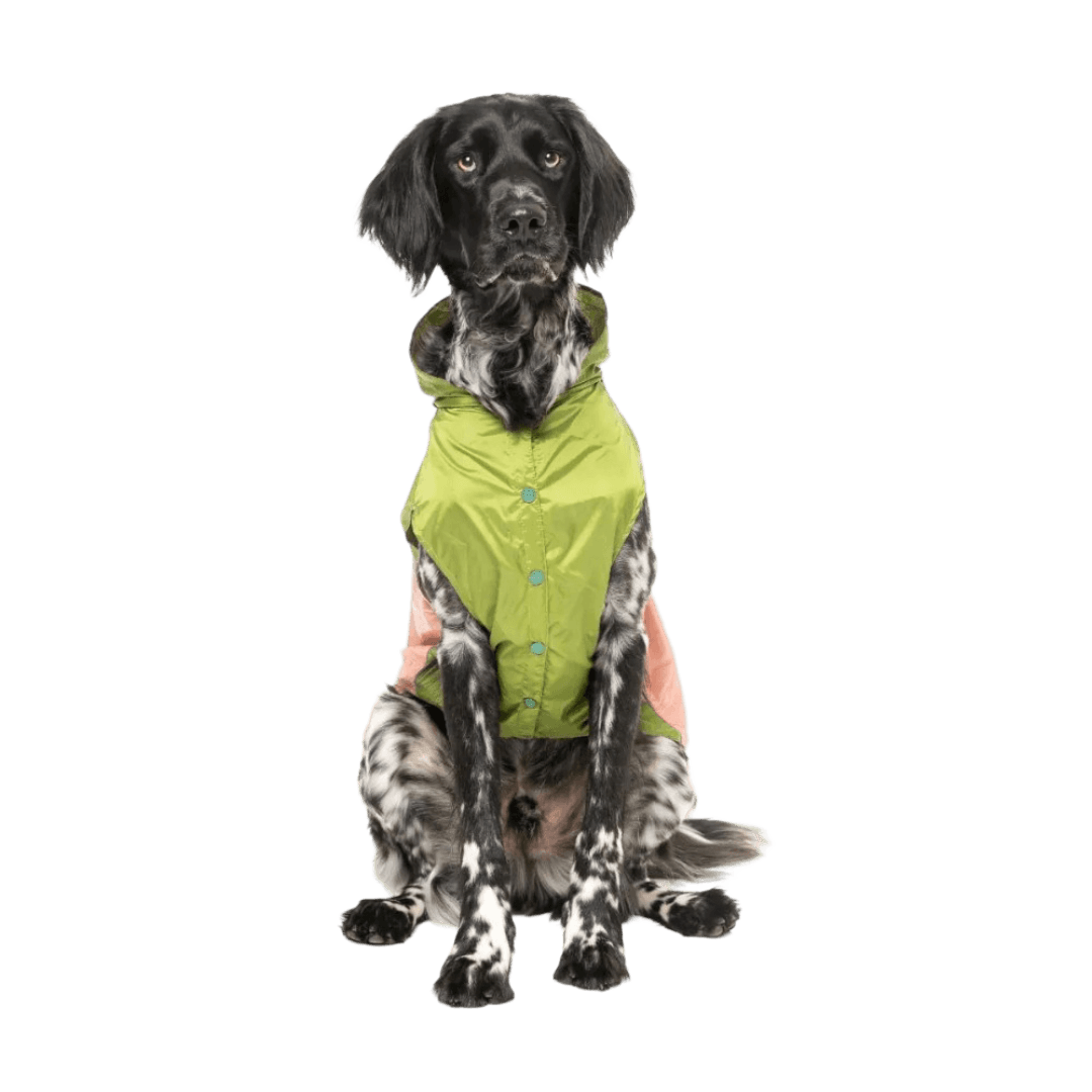 Ormond Olive Pink Dog Raincoat