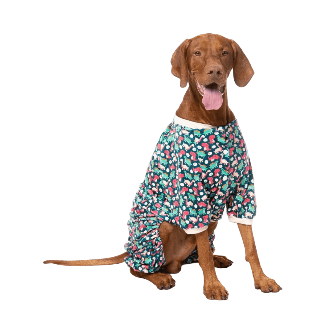 fuzzyard-pyjama-dinosaur-land