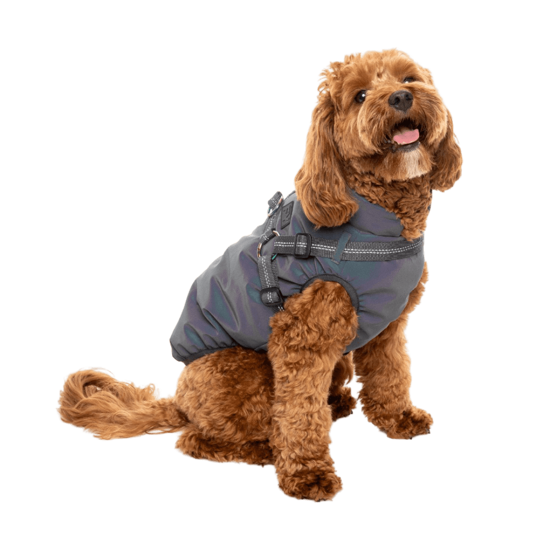 fuzzyard-reflective-flash-dog-jacket