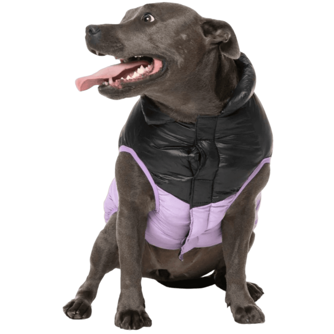 fuzzyard-south-harlem-jacket-lilac