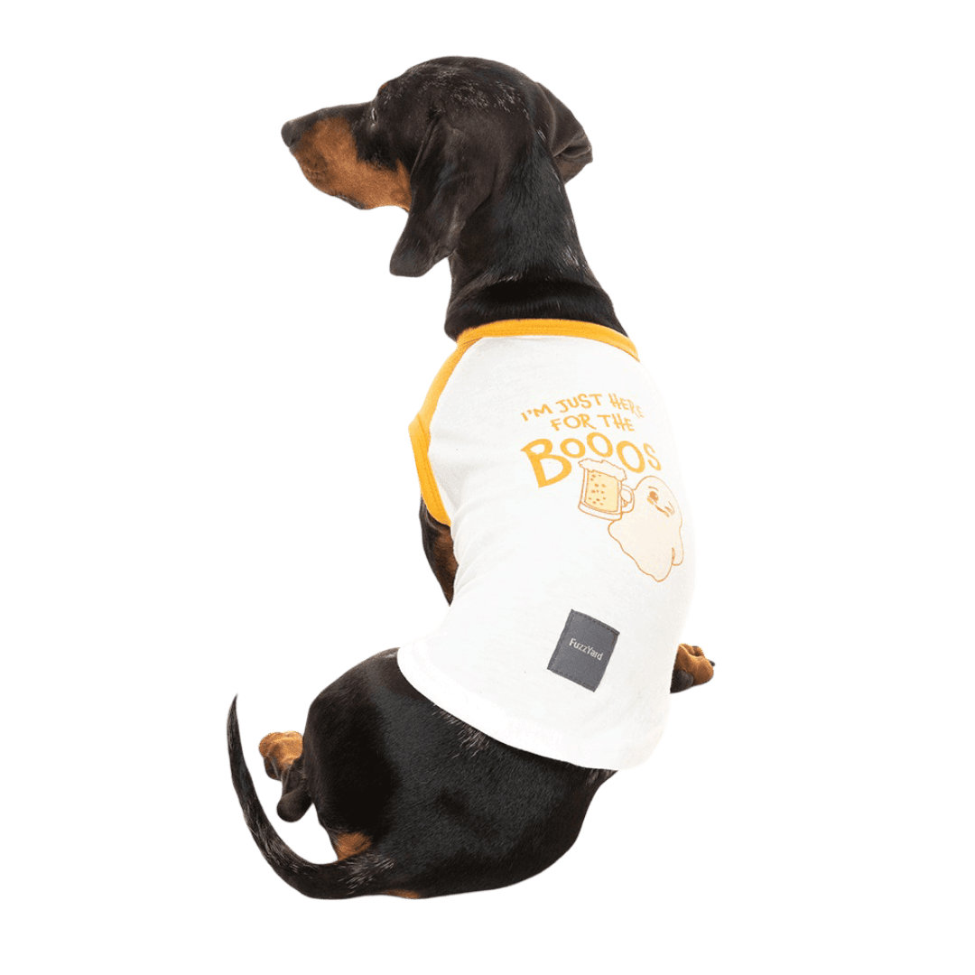 fuzzyard-t-shirt-im-just-here-for-the-booos