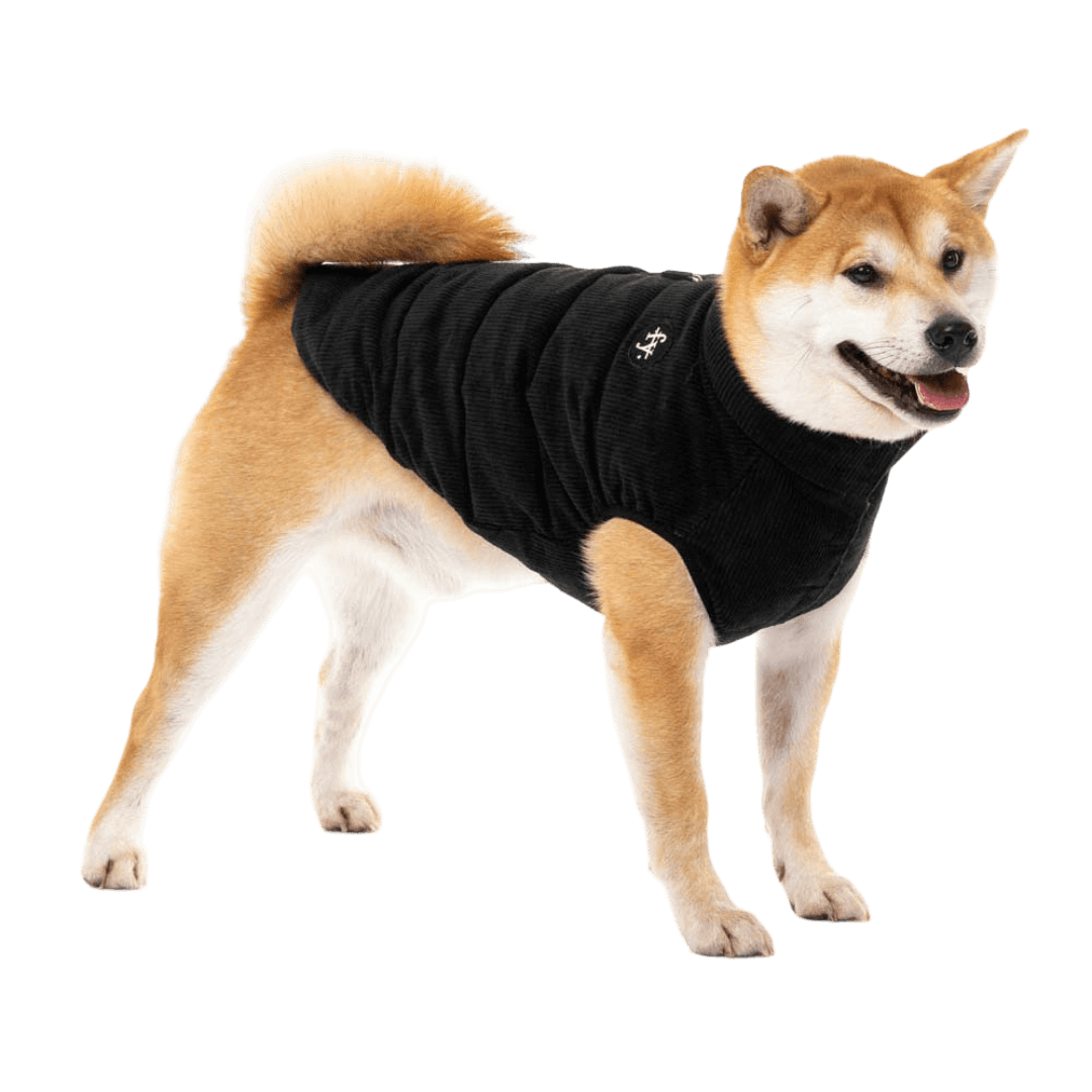 fuzzyard-the-mosman-puffer-jacket-black