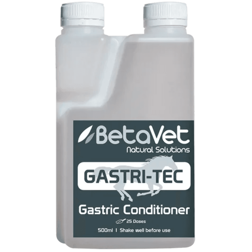 betavet-gastri-tec-horse-supplement