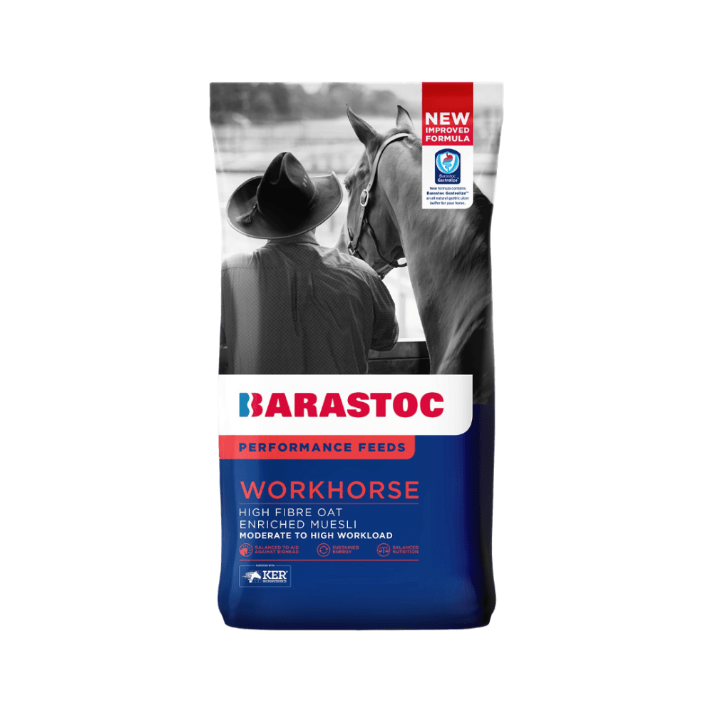 barastoc-workhorse