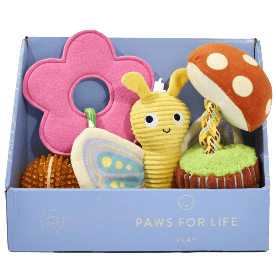 paws-for-life-4-piece-gift-set-spring-garden-dog-toys