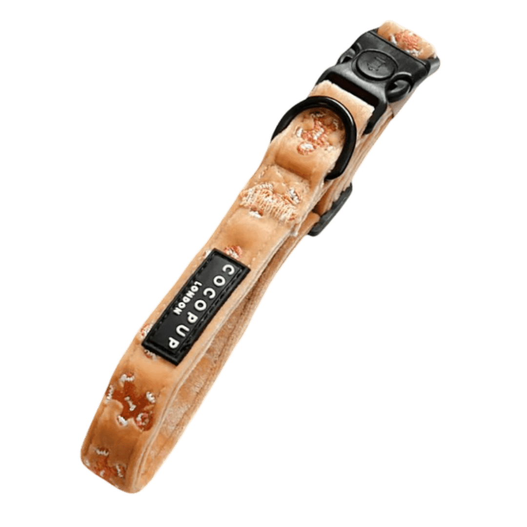 cocopup-london-dog-collar-gingerbread-treats