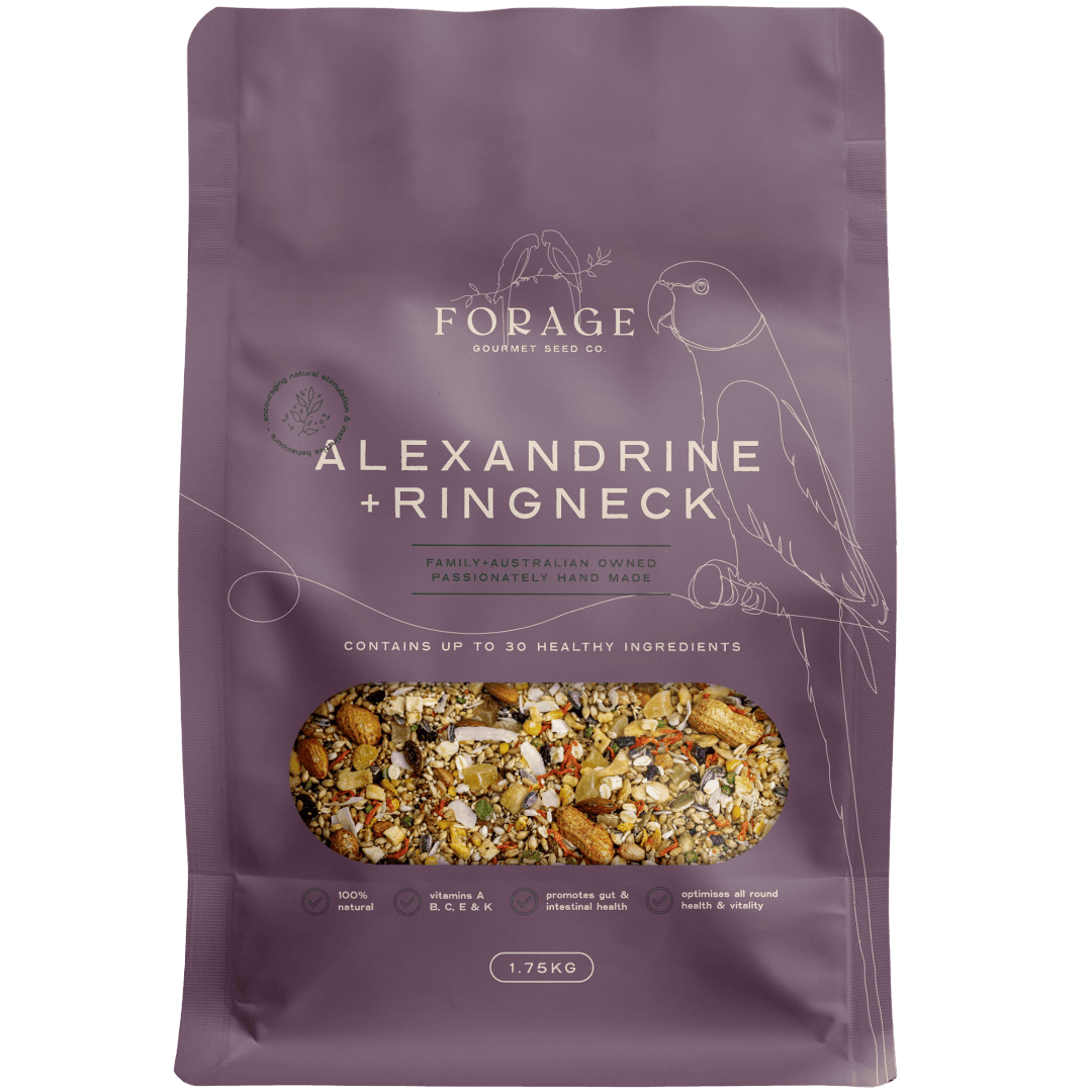 forage-gourmet-for-alexandrinne-and-ringneck-bird-food