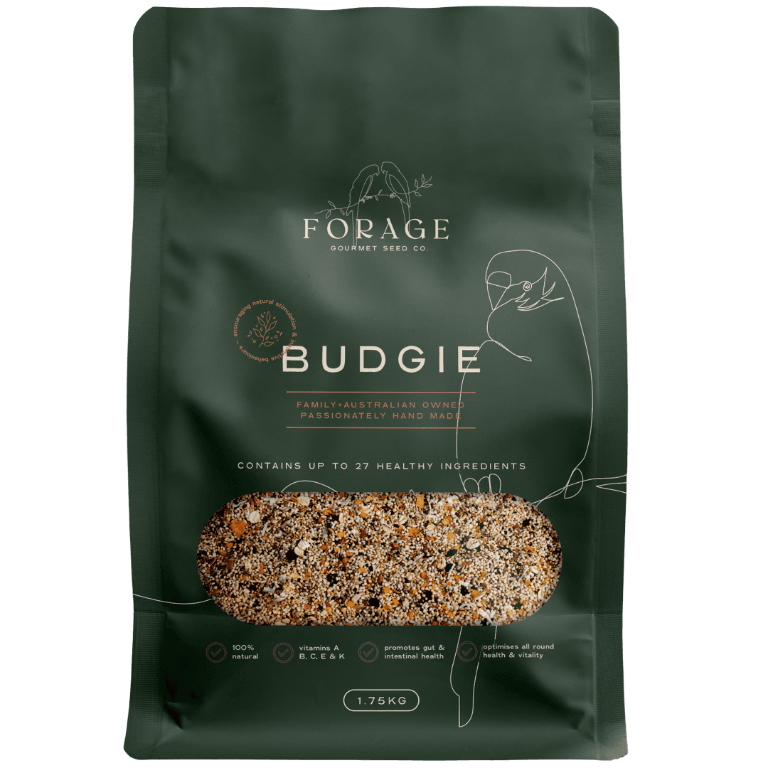 forage-gourmet-for-budgies-bird-food