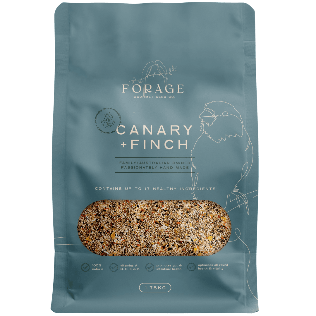 forage-gourmet-for-canary-and-finch-bird-food