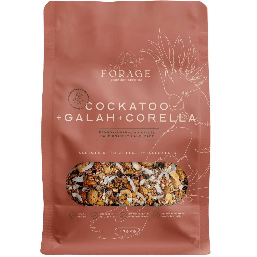 forage-gourmet-for-cockatoo-galah-corella-bird-food