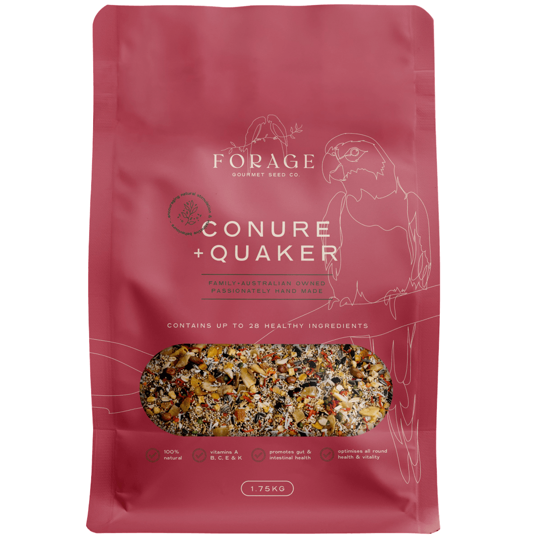 forage-gourmet-for-conure-and-quaker-bird-food