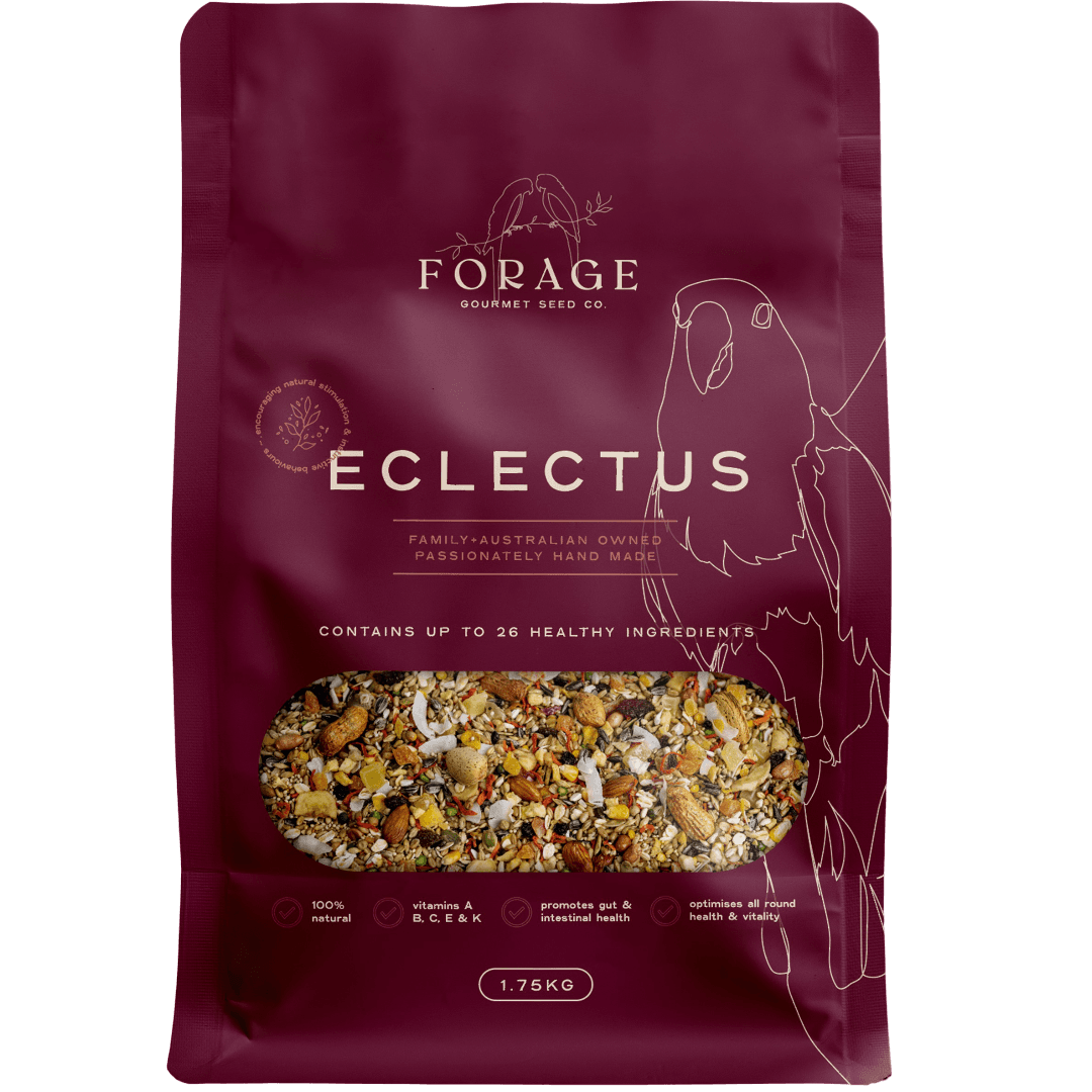 forage-gourmet-for-eclectus-bird-food