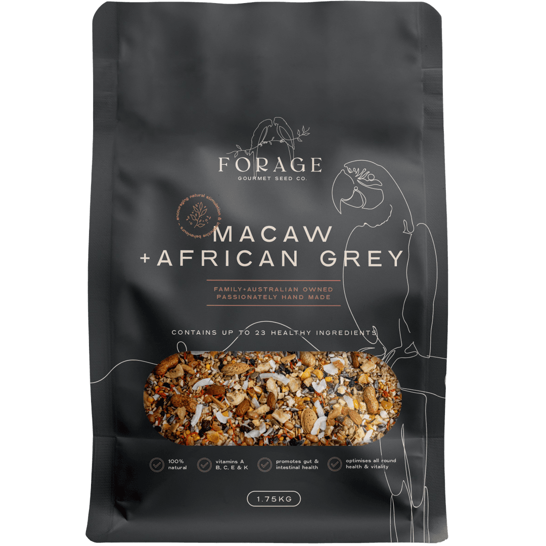 forage-gourmet-for-macaw-and-african-grey-bird-food