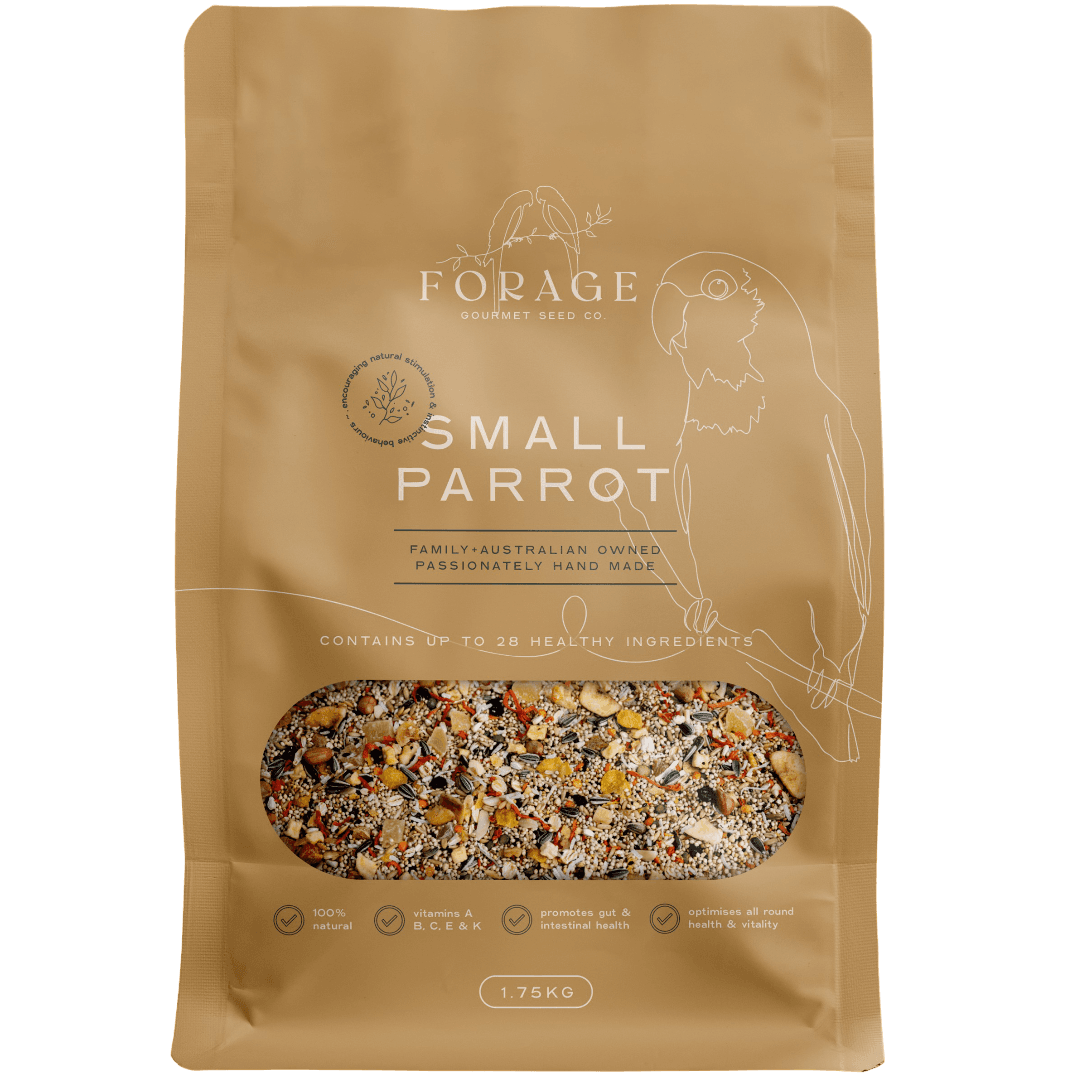 forage-gourmet-for-small-parrot-bird-food