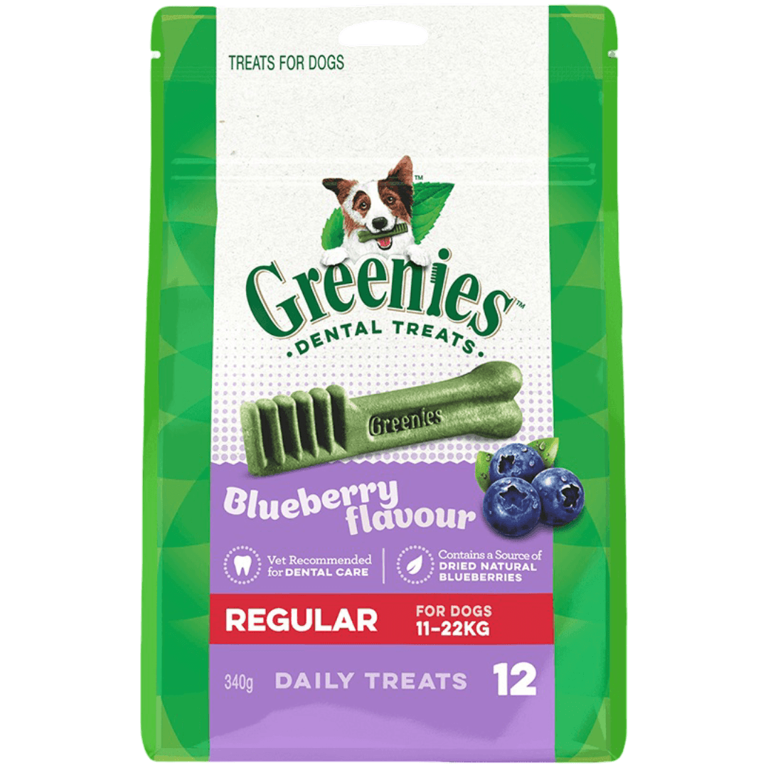 greenies-blueberry-flavour-regular-dog-dental-treats