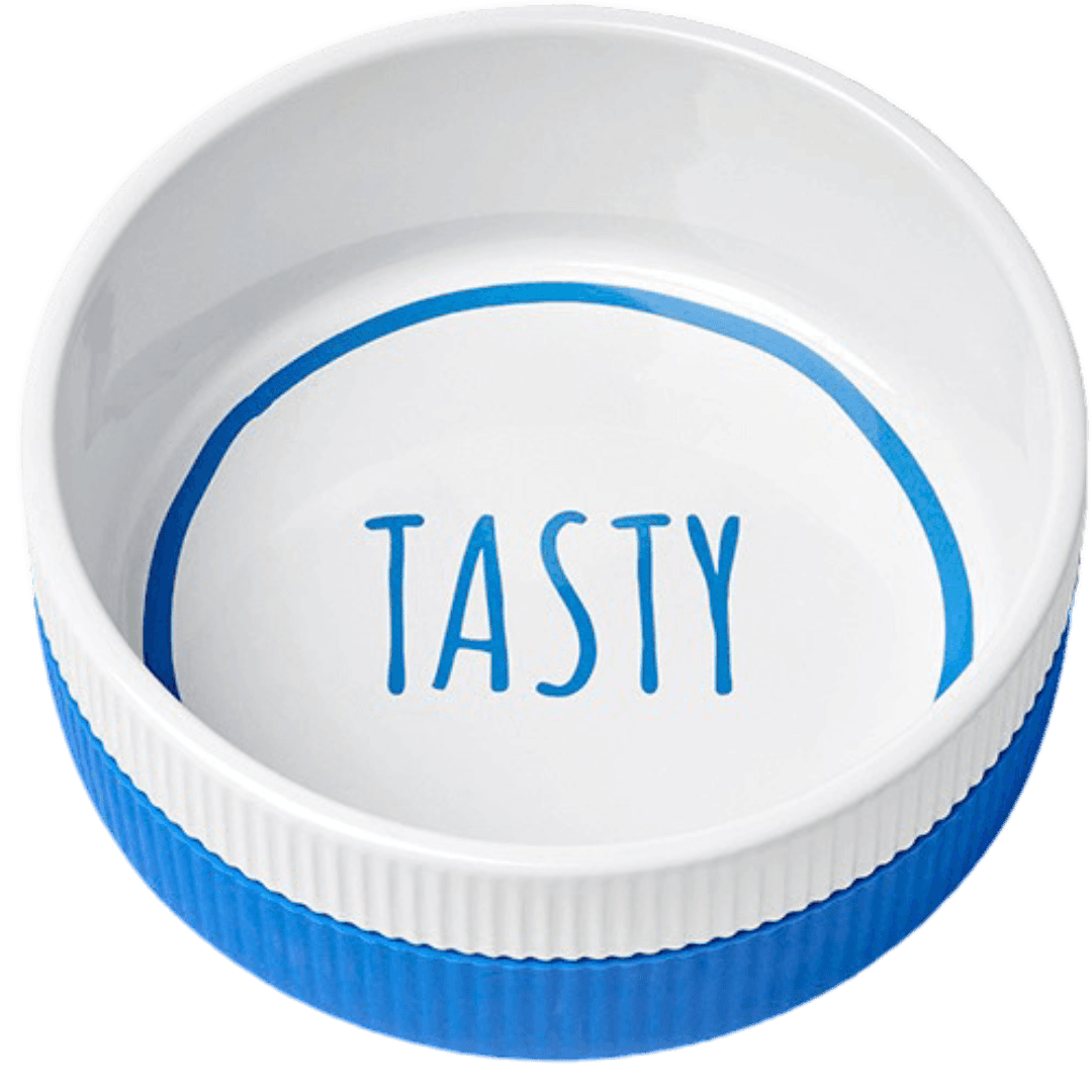 gummi-ceramic-dog-bowl-blue-tasty