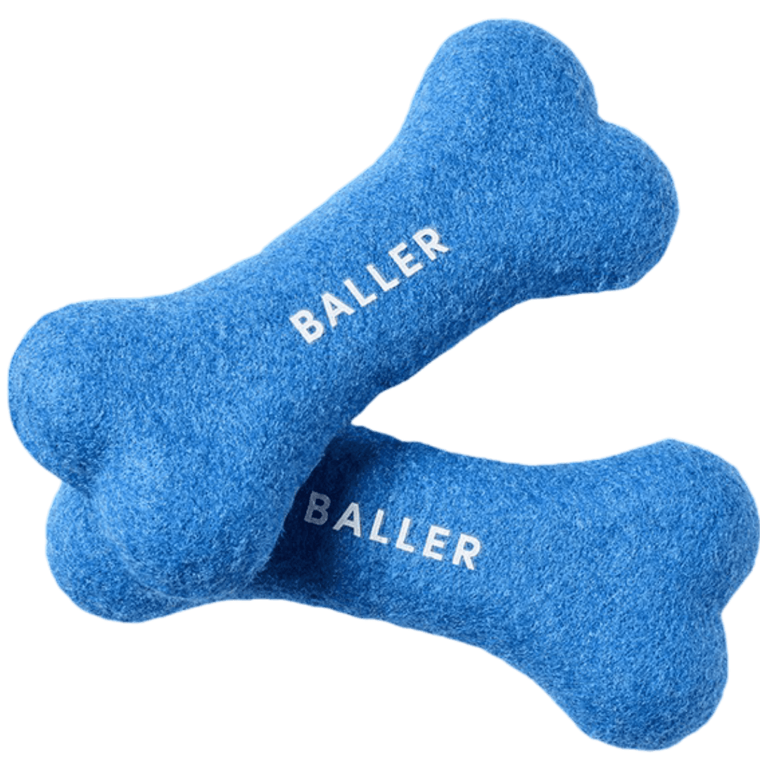 gummi-tennis-bone-2pk-dog-toy-blue