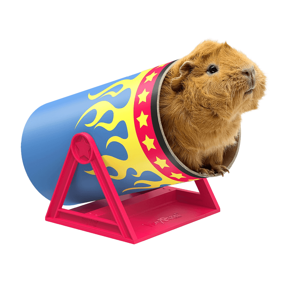 haypigs-cavy-cannonball-tilting-tunnel