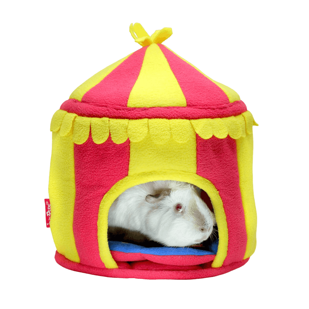haypigs-fleece-circus-hidey-hut