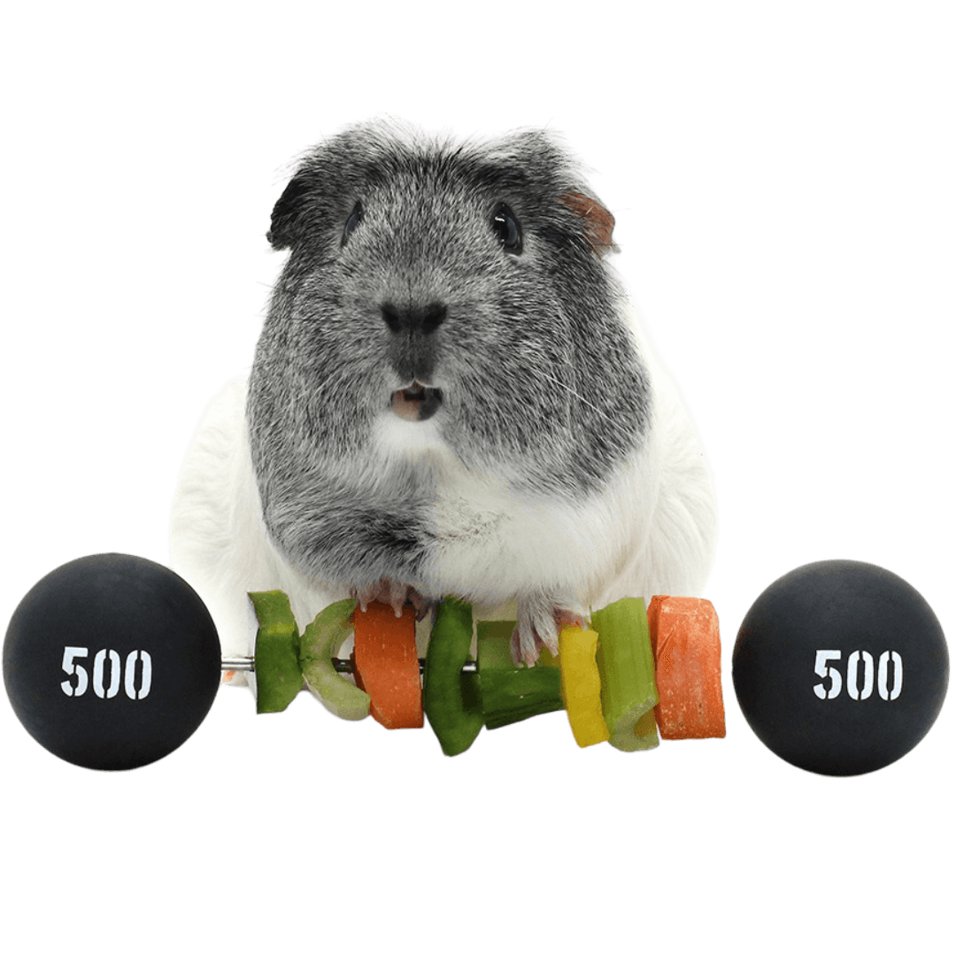 haypigs-piggy-weight-lifter-vegetable-kebab-maker