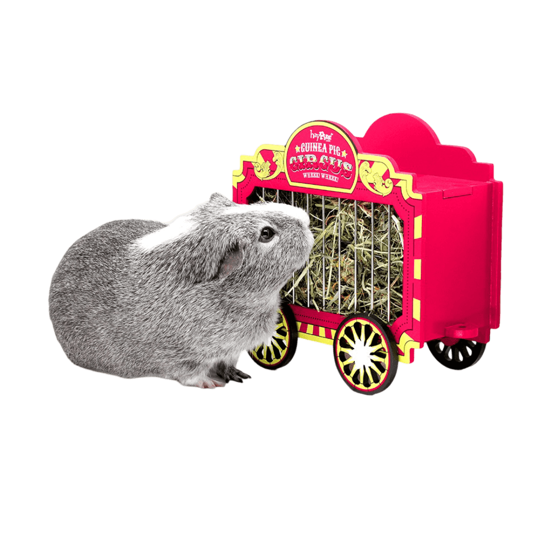 haypigs-wheek-wagon-hay-hopper