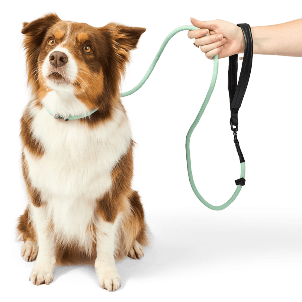 hi-dream-leather-rotatable-handle-dog-leash-sage