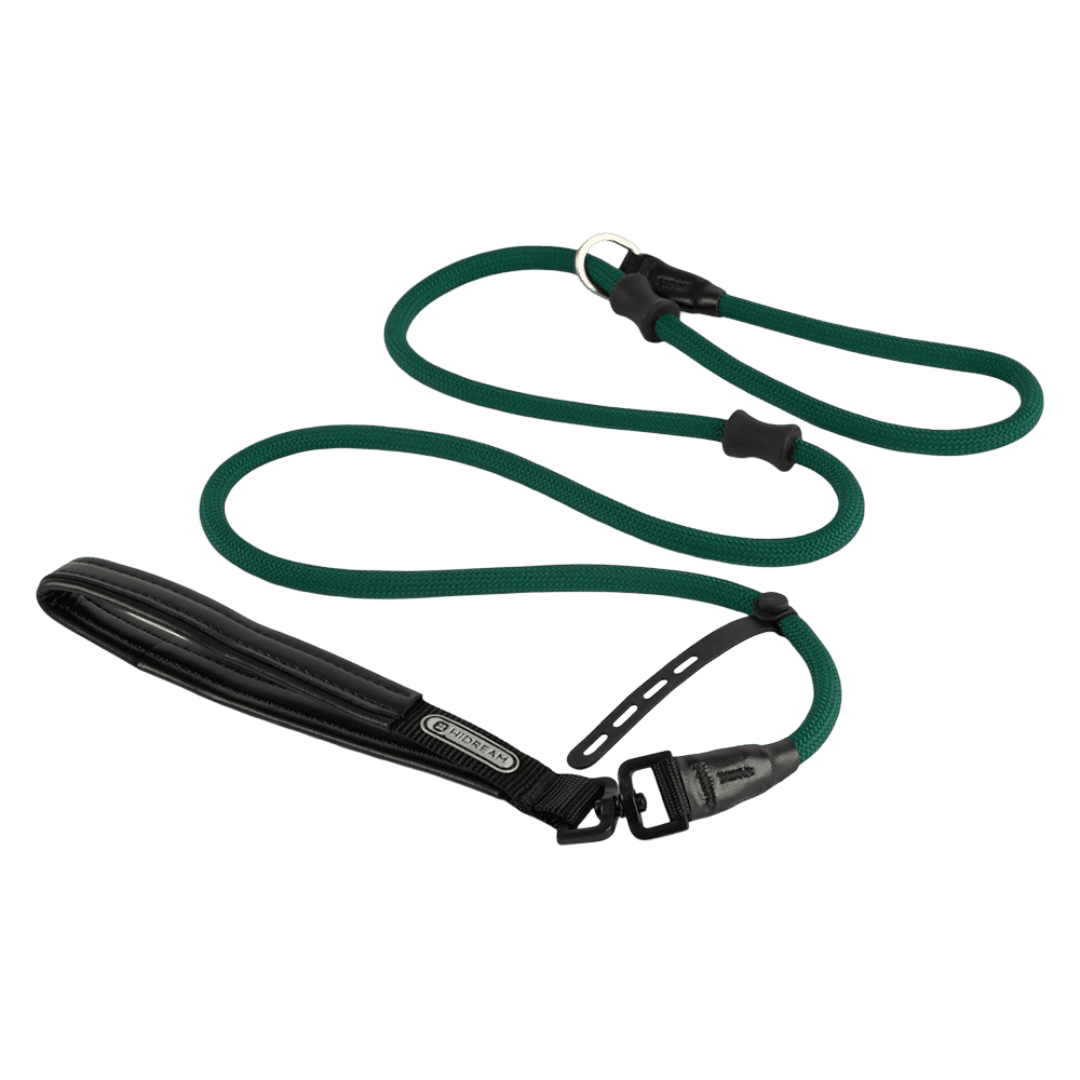 hi-dream-leather-rotatable-handle-dog-leash-dark-green