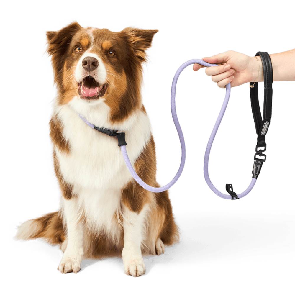 hi-dream-leather-rotatable-handle-dog-leash-lilac