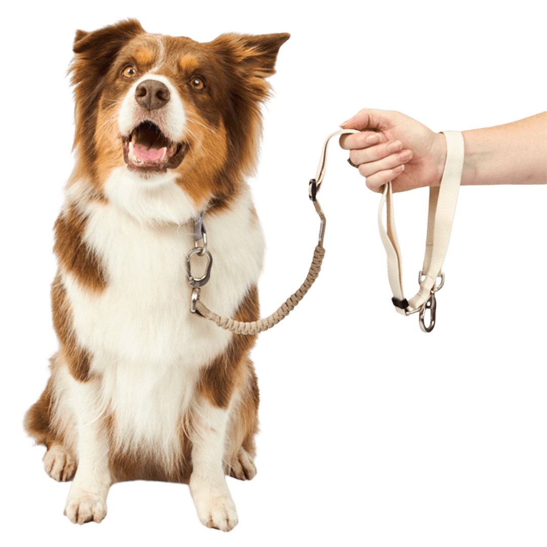 hi-dream-multifunctional-buffer-dog-leash-beige