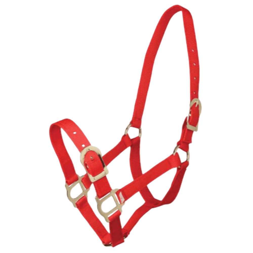 Headstall Picador PP Horse Halter In Red
