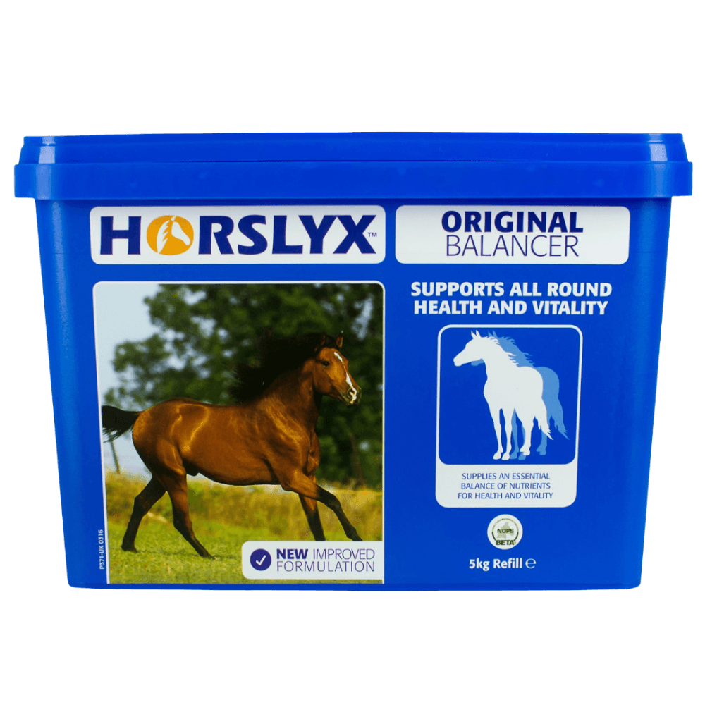 horslyx-original-vitamin-and-mineral-lick-horse-treats
