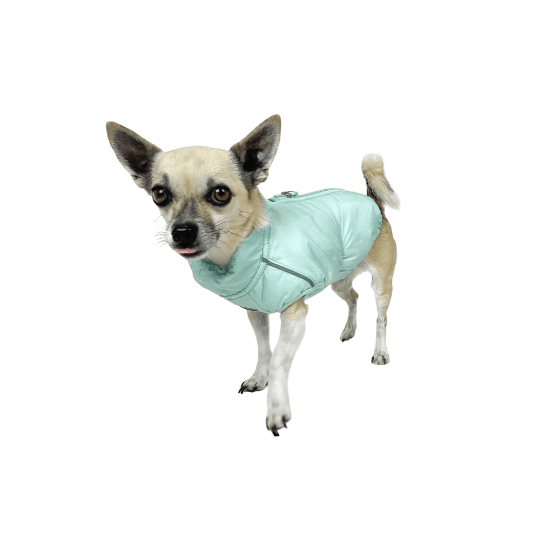 huskimo-coat-cardrona-jade