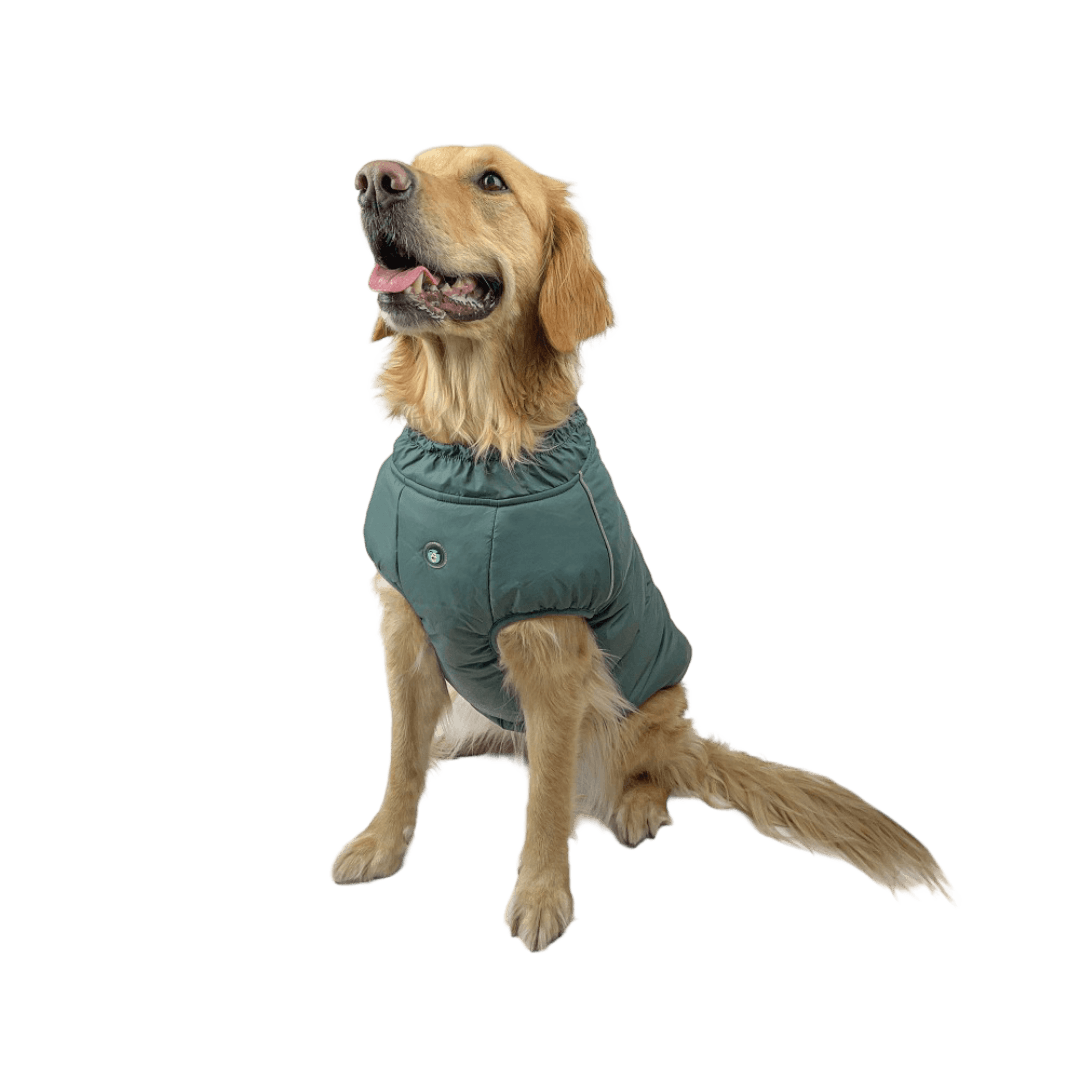 huskimo-coat-cardrona-moss