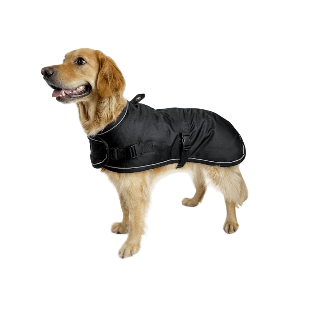 huskimo-coat-summit-pro-dark-sky