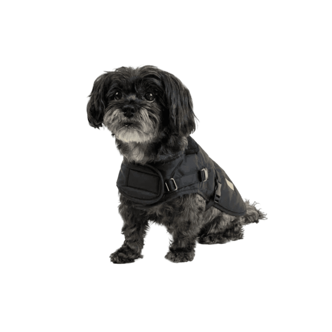 huskimo-coat-waxed-cotton-thunder