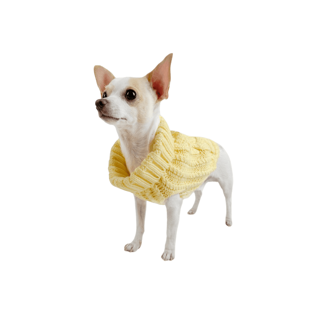 huskimo-jumper-cali-knit-buttercup
