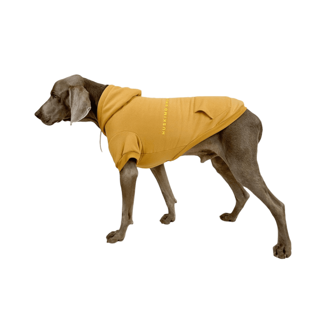 huskimo-mt-baw-baw-dog-hoodie-mustard