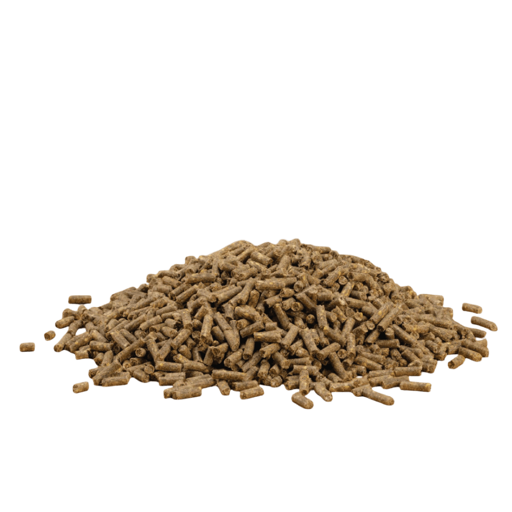 hygain-allcare-vitamin-mineral-and-yeast-mega-blend-for-horses product