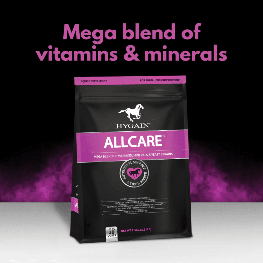 hygain-allcare-vitamin-mineral-and-yeast-mega-blend-for-horses brand