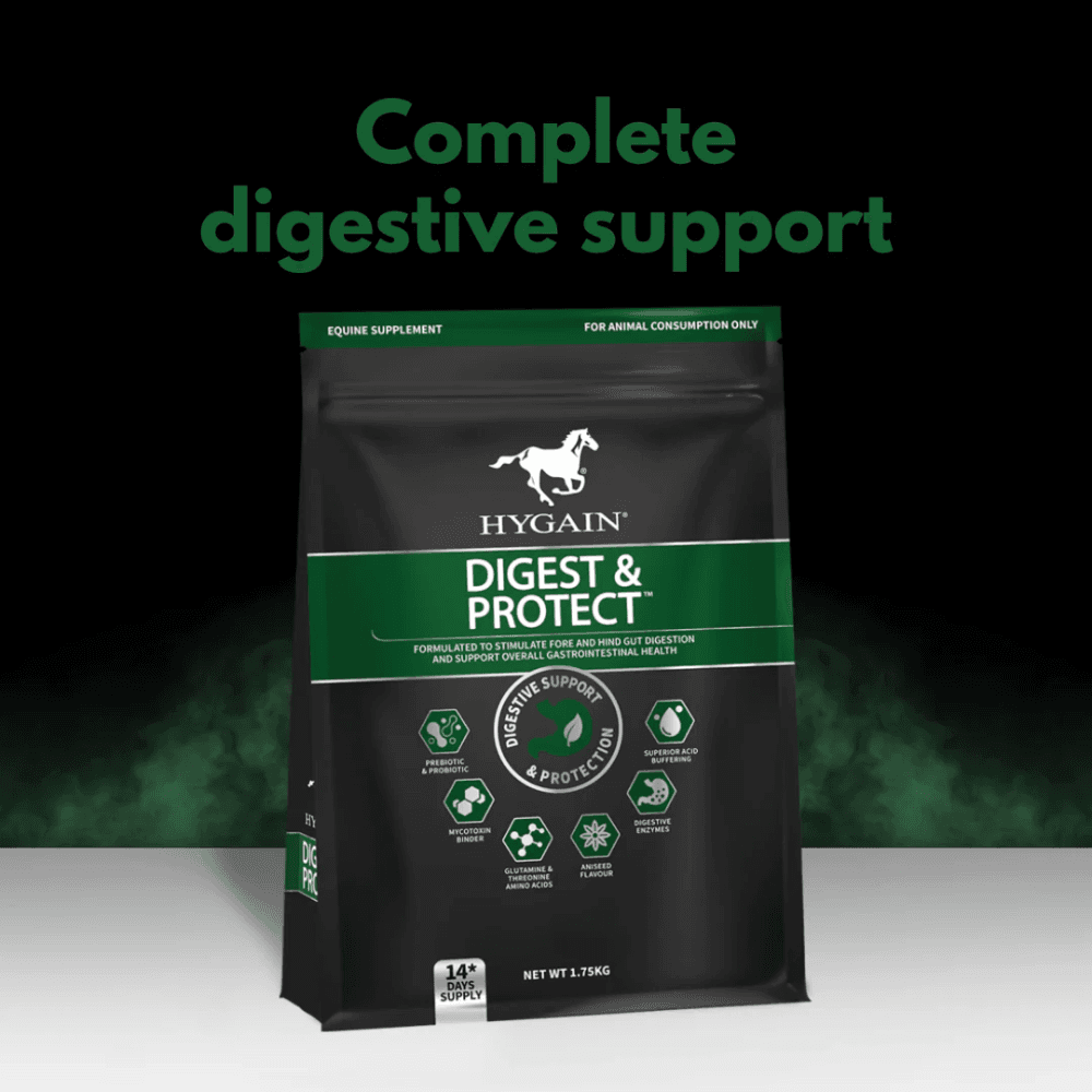 digest-and-protect-complete-digestive-support-horse-supplement BRAND