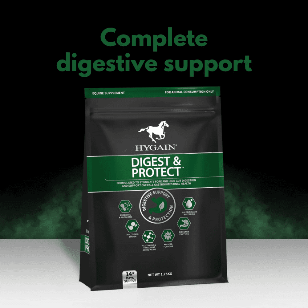 digest-and-protect-complete-digestive-support-horse-supplement BRAND
